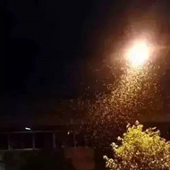 白蟻危害大，4-6月份進入其活躍期 防治白蟻不容忽視！